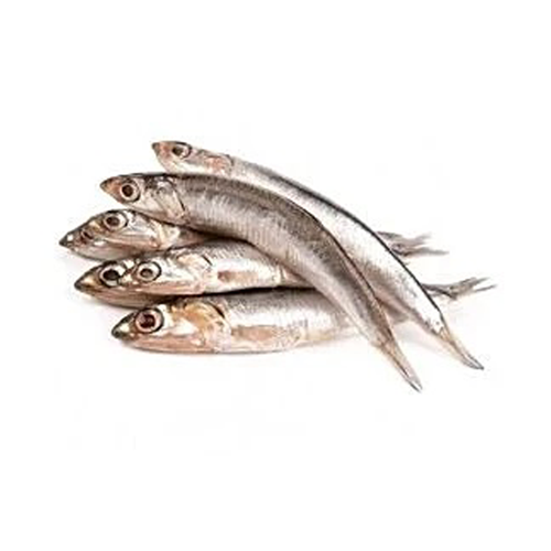 Anchovy – നേത്തോളി (Netholi)