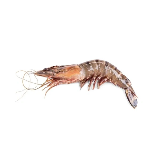 Prawns – കൊഞ്ച് (Konje)
