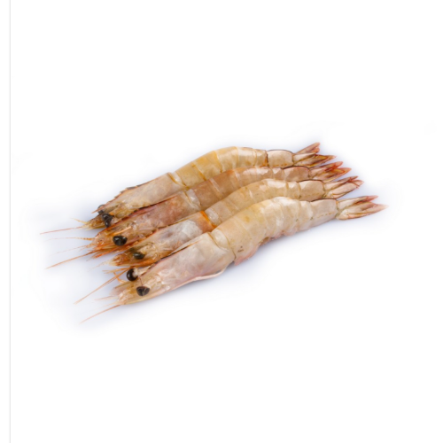 Shrimp (Chemeen / ചെമ്മീൻ)