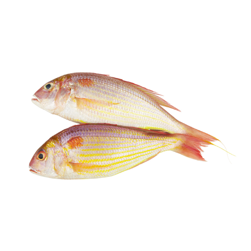 Threadfin Bream – കിലിമീൻ (Kilimeen)